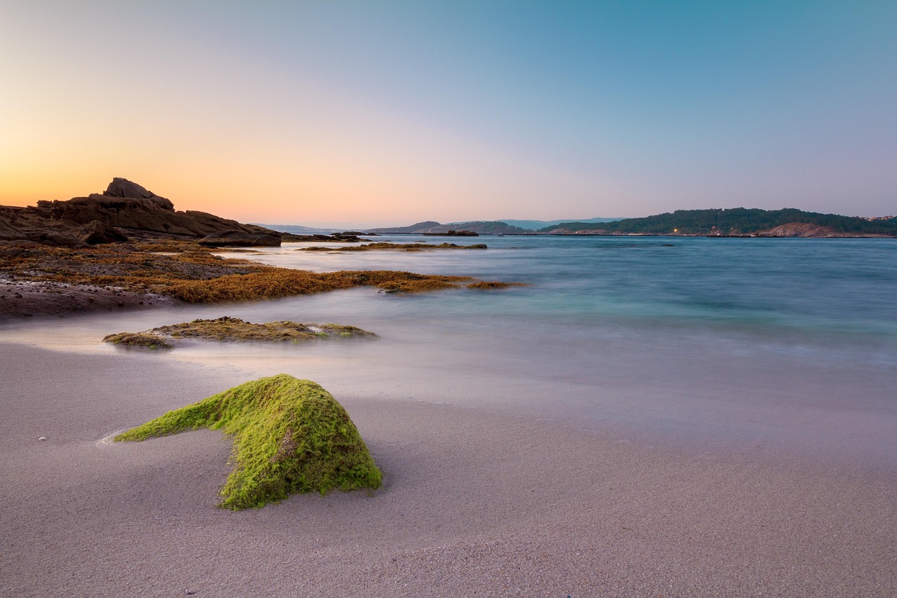 Spiaggia di Cala Violina con sabbia dorata e mare cristallino, affollata da visitatori in un giorno di sole.