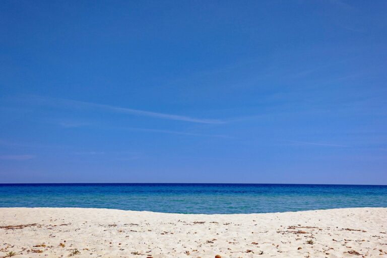 Spiaggia di Berchida con vacche sulla sabbia e mare cristallino, un paesaggio surreale e unico.